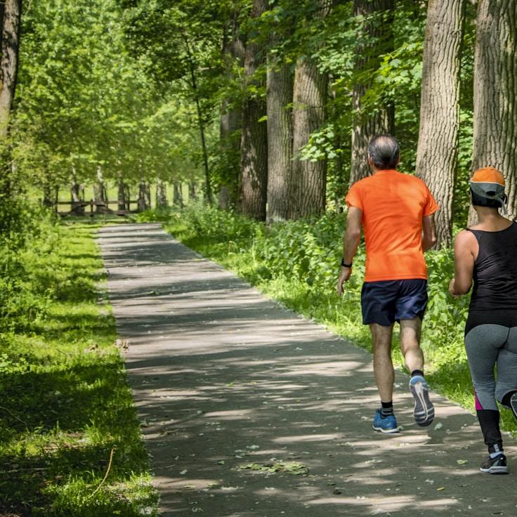 Modern gym interior with professional training equipment
